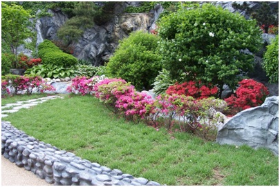 토양개량제polysoil.jpg